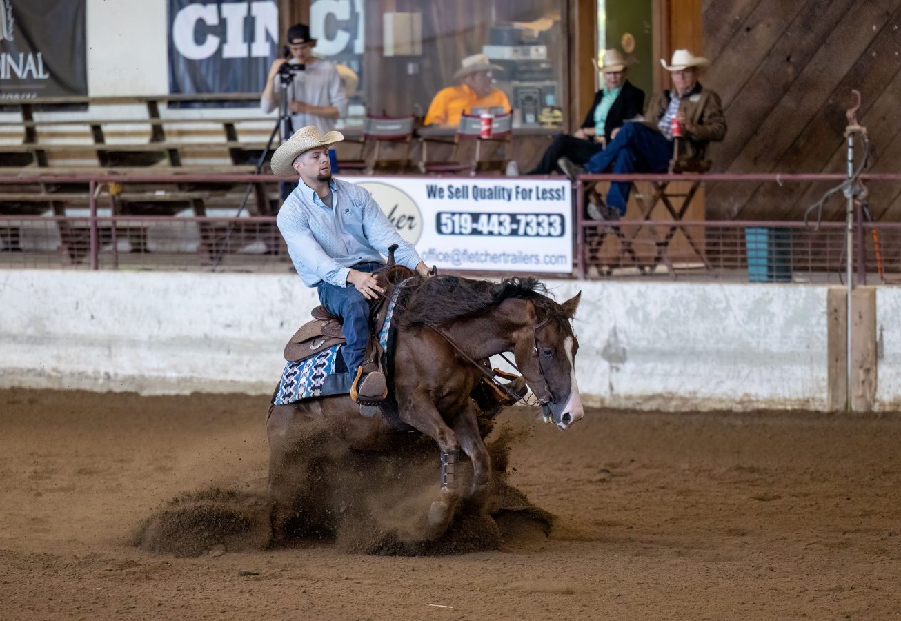 GOTTA MAGNUM DUNNIT SOLD – Fletcher's Horse World, Waterford, ON